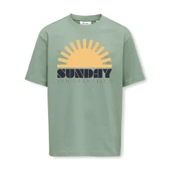 Drenge Fred Malto Liv T-shirt Iceberg Green