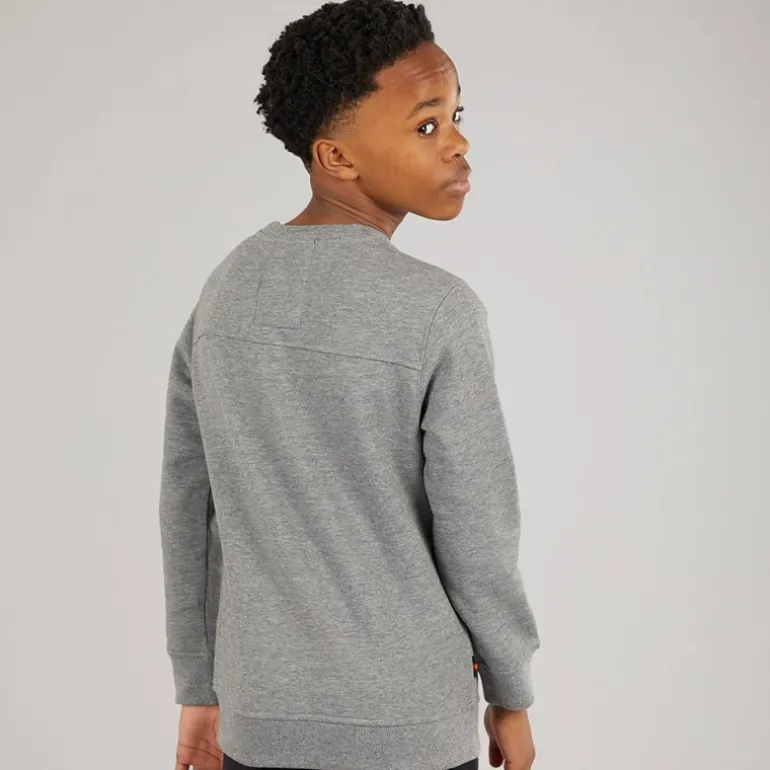 Drenge The Runner Sweatshirts Grå