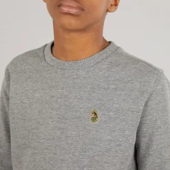 Drenge The Runner Sweatshirts Grå