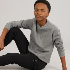 Drenge The Runner Sweatshirts Grå