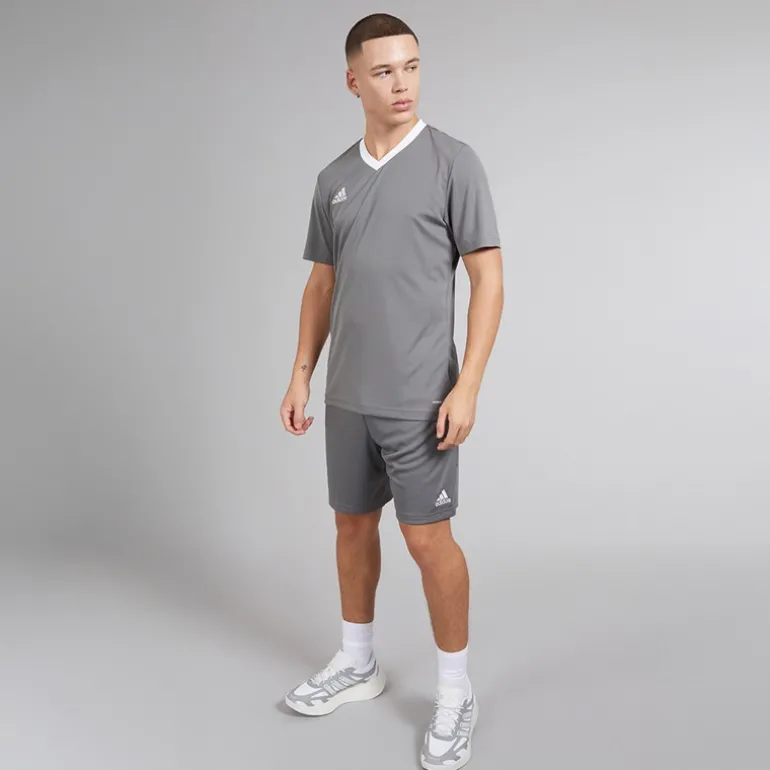 Herre Entrada 22 Shorts Team Grey Four