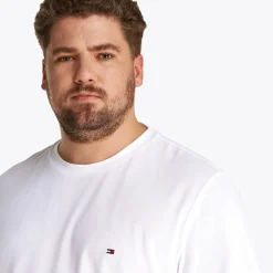 Herre Plus Størrelse Global Stribe T-Shirt Hvid