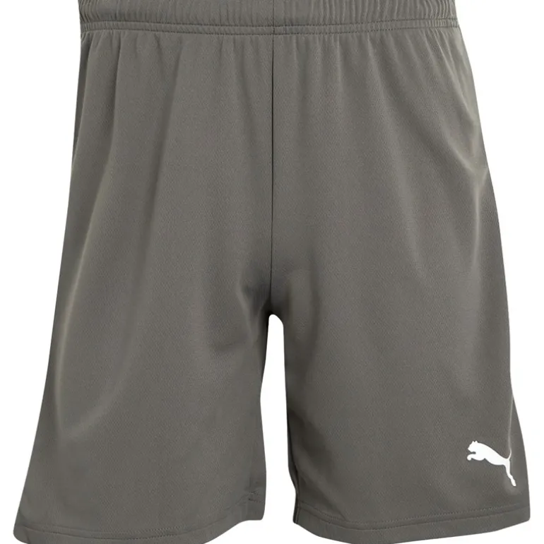 Herre teamRISE Sport træningsshorts Grå