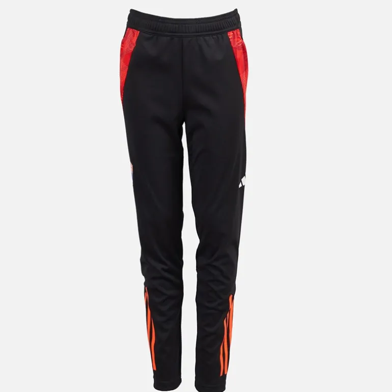 Junior Drenge OL Olympique Lyon træningsbukser Sort/App Solar Red