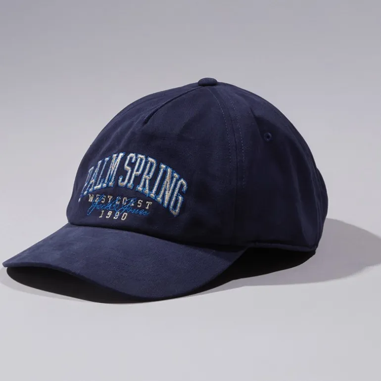 Palme baseball kasket Sky Captain